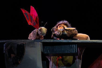 Papallona i escarbat